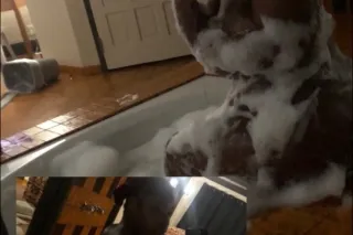 your biggest fantasy ready for... - Image 4